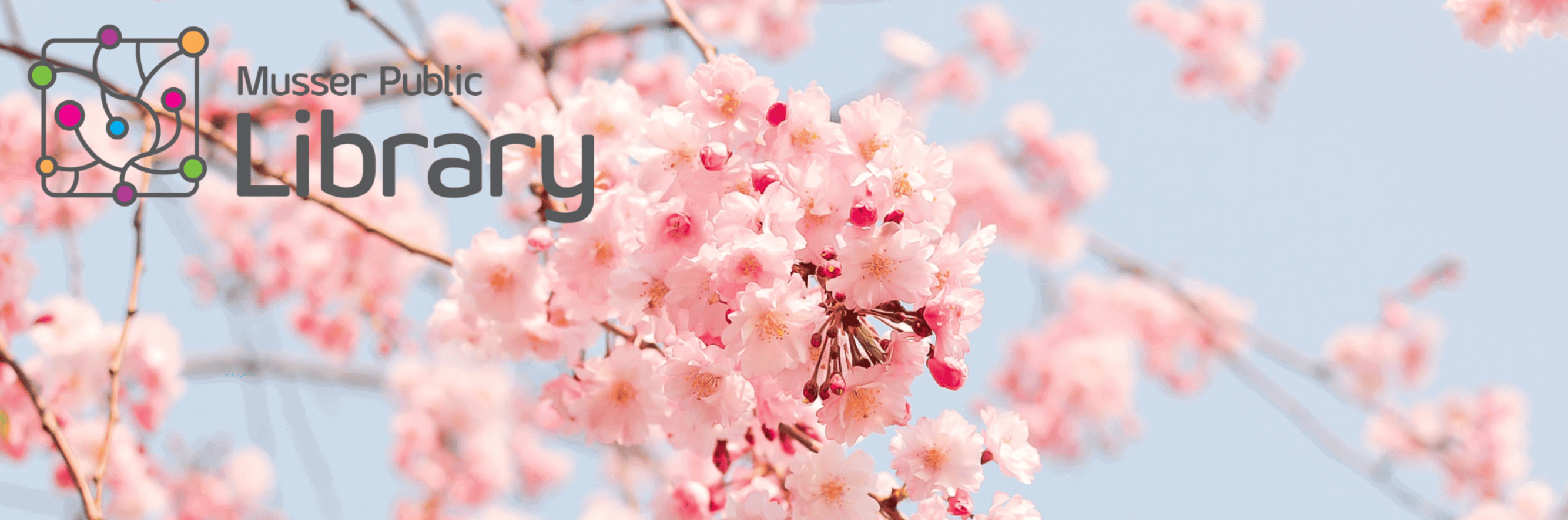 Spring-blossoms-website-header-w-logo-top-corner