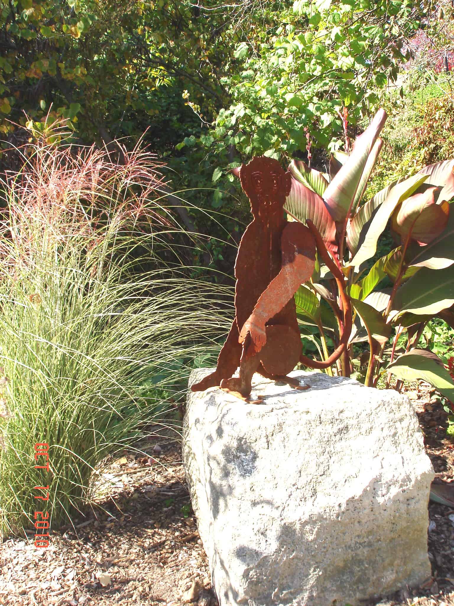 Monkey Garden : Musser Public Library